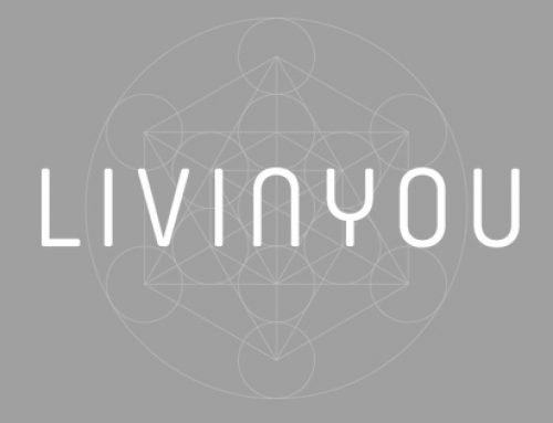 Copywriting, Webseite, Shop für veganes Unternehmen LIVINYOU